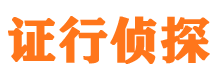 桃源市侦探公司